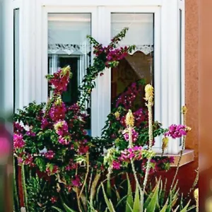 Duplex Aloe Apartamento